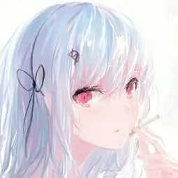 胶片收藏家 的头像